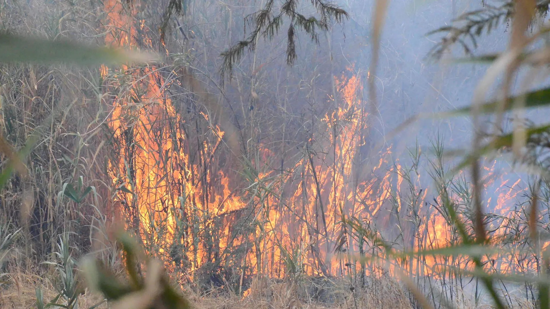 12 FEB FUERTE INCENDIO ALARMO A VECINOS